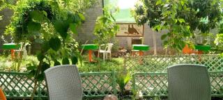 Ecogite La Tourterelle - Guesthouse - 1