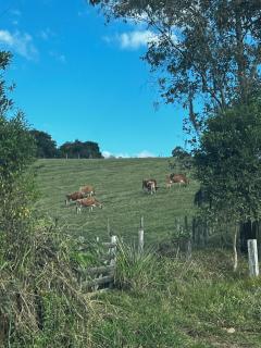 Casa da Figueira - 5