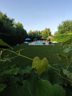 Chalet in montagna con piscina - Montesano sulla Marcellana - 8