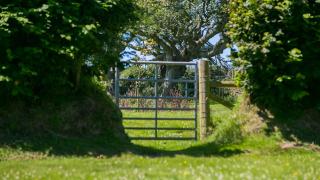 Ty Siam - Newborough - 5