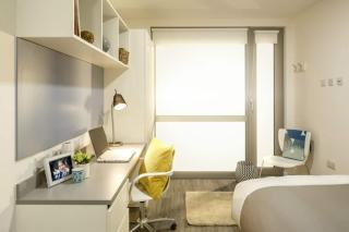 Student Only, Bronze Studio Lower Level Lewisham Residence - 6