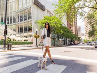 Sofitel Chicago Magnificent Mile - Chicago - 0