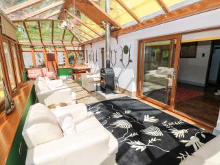 The Woodlands Lower Level - 1