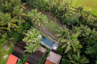 Anggrek Sari Villa - 5