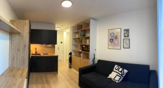 Cozy studio in centre of prague 10 Vrsovice - Prague - 3