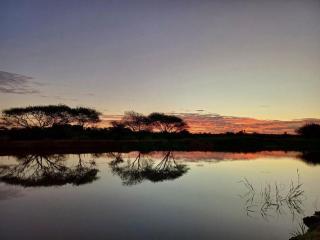 Nonaka - Louis Trichardt - 7