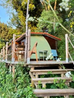 Tiny House Gaia - Eco Retreat in the Mountains - 9