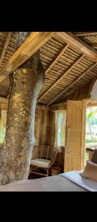 Tree bamboo house - 9