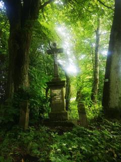 Natura Taszów - Lewin Kłodzki - 2