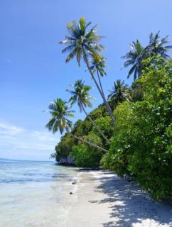 Intum Homestay - 3