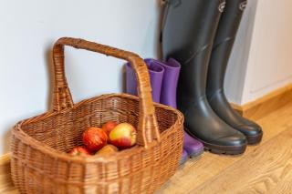 Dandy Cottage - Netherbury - 5