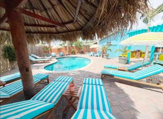 Aruba Palms Escape Suites - Palm-Eagle Beach - 9