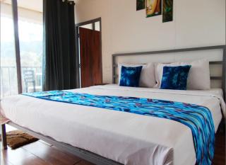 The Erica Resort & cottage , Kasauli -A Beautiful Wellness Boutique Resort - Kasauli - 8