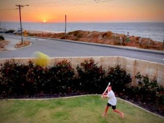 Pet-Friendly Beachfront Family Dog Bch - 4