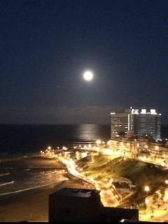 Elegante y moderno departamento a una cuadra del mar - Mar del Plata - 8