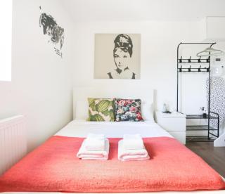 Lovely Studio Flats In Dalston - Londres - 8