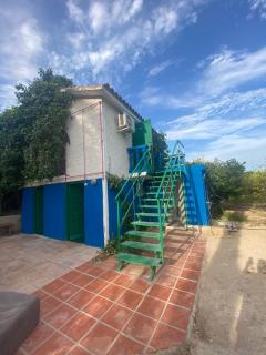 Pink Lemon House - Elche - 6