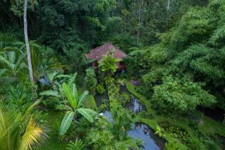 Bali Eco Stay - Blimbing - 2