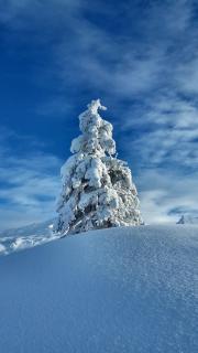 Gästehaus zum Bären - 2