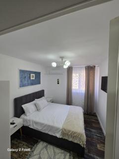 David & Matei Residence - 0