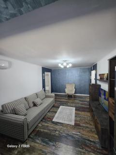 David & Matei Residence - 7