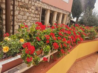 La Cartolina Apartment - 3