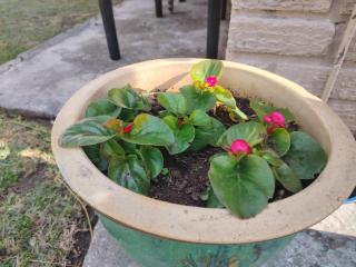 Cornelia Place - Sunridge Park - 4