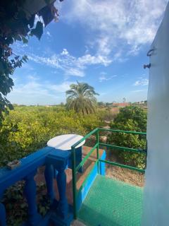 Pink Lemon House - Elche - 8
