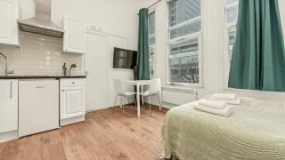 Cosy Paddington Apartments - London - 9