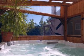 Spa & Outdoor Pool - Montagnard des Pays-d'en-Haut - Sainte-Adèle - 7