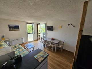 Piolit andCo - Studio vue montagne - Ancelle - 4