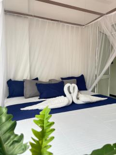 Monstera Haven Hiriketiya - 5