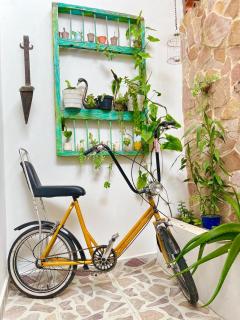 Paisa Territory Jardin - 9