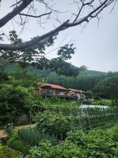 신선놀음 - - 8