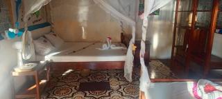Piscine bimoko - Nosy Be - 4