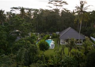 The Jangala Luxury Retreat Ubud - Villa Pura - 3