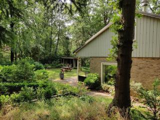 Sfeervol boshuis met jacuzzi en veel privacy en rust - 1