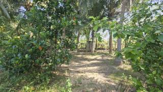 Nilaveli home away home - 7