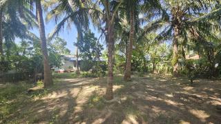 Nilaveli house Stay - 5