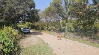 Nilaveli home away home - 4