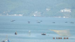 Rosa Bayside Guesthouse - Danang - 3