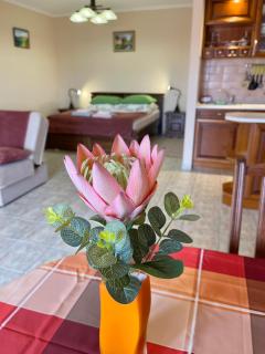 Savelij apartament - Hévíz - 4