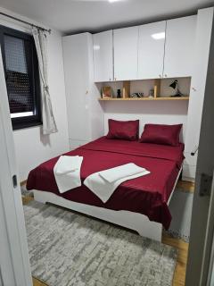 Apartman V Kragujevac - Kragujevac - 7