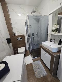 Apartman V Kragujevac - Kragujevac - 4