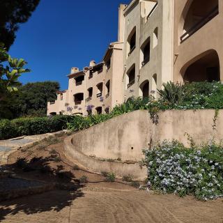 Appartement vue mer - Calcatoggio - 6