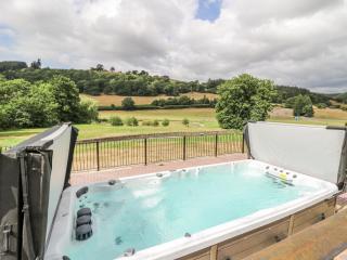 Stud Farm House - Knighton - 7