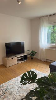 schöne 3 Zimmerwohnung Altbau, hochschulnah, free parking - Aalen - 8