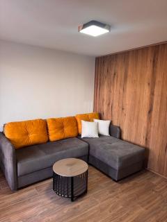 Samsa lux apartment in the center of Zabljak - 8