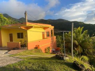 Seaview Guesthouse Apt #2 - Plymouth - 9