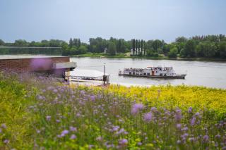 Siódemka - Toruń - 8